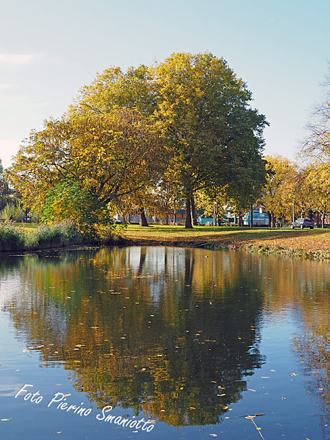 Nijmegen. Herfst in het park De Wollewei in het stadsdeel Dukenburg.