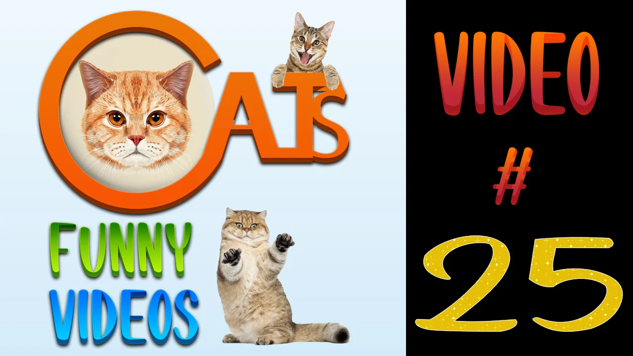 Cats Funny Videos Compilation 25 | Cute Cats |  #cats #catsvideos
