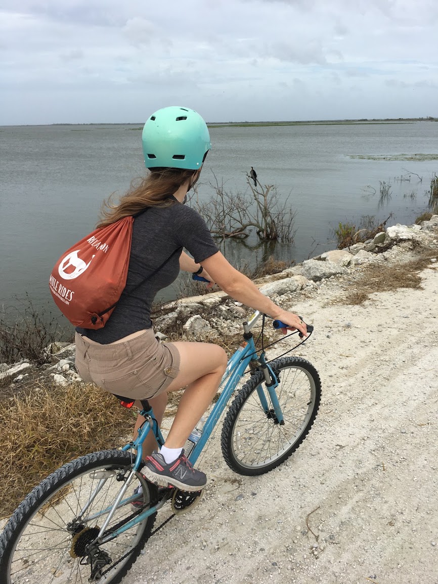 Our RV Adventures Busy Times at Trimble Park Data Plans, a Tropical