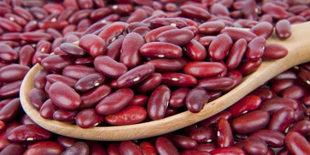 Kandungan Nutrisi dan Khasiat Kacang Merah