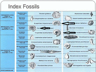 index fossils
