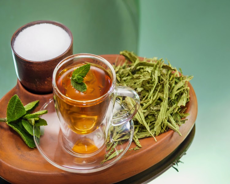 How to make stevia green tea to stay healthy