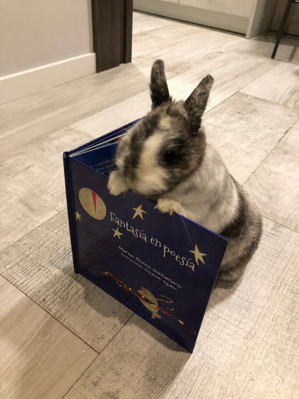 FANTASÍA EN POESÍA