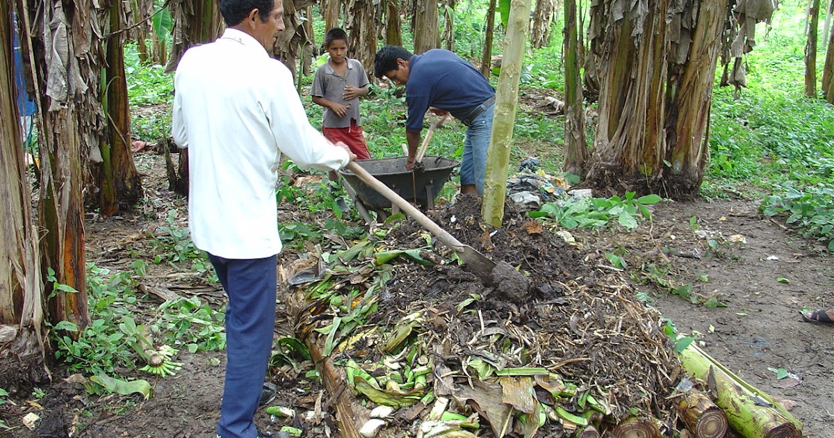 Waste management 6 Facts About Composting