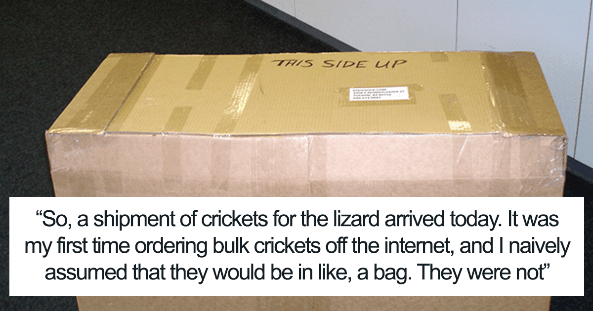 Man Accidentally Unleashed 250 Crickets In His House And The Internet Couldn't Stop Laughing Man Accidentally Unleashed 250 Crickets In His House And The Internet Couldn't Stop Laughing