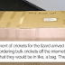 Man Accidentally Unleashed 250 Crickets In His House And The Internet Couldn't Stop Laughing