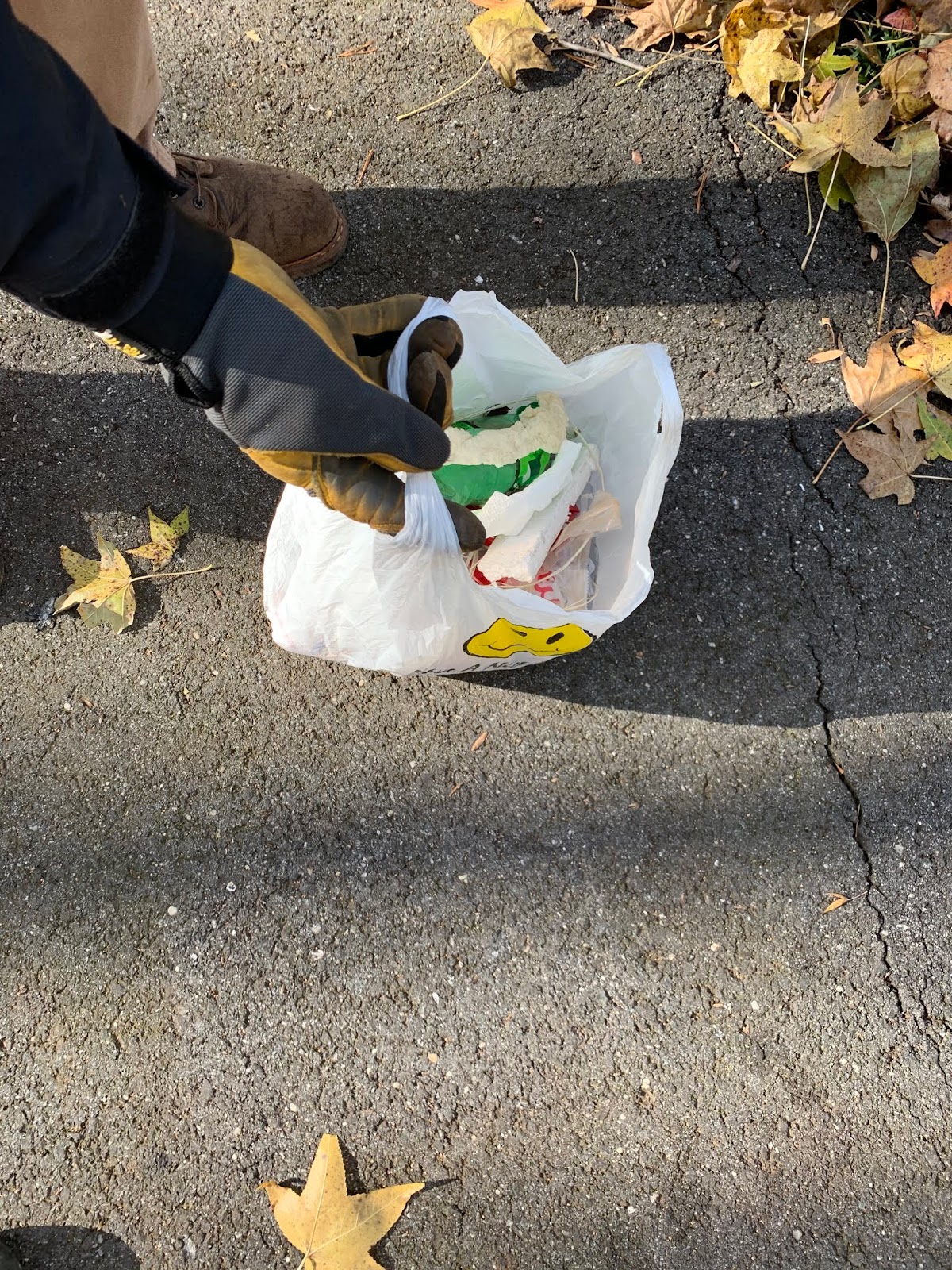 Bea gaddy thanksgiving volunteer 2024