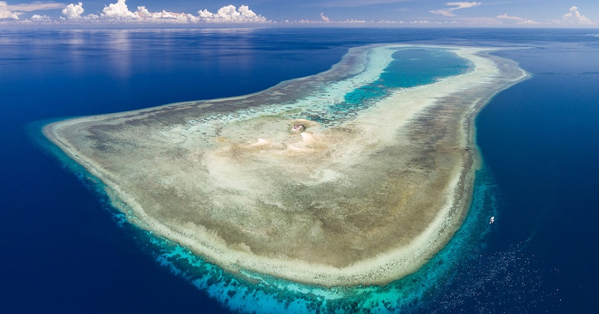 Риф туббатаха филиппины Риф туббатаха филиппины