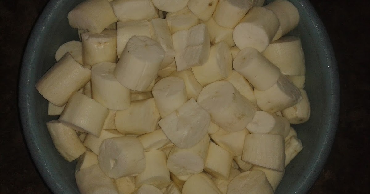 Contoh Laporan Tentang Pembuatan Tape Laporan Hasil Pembuatan Tape