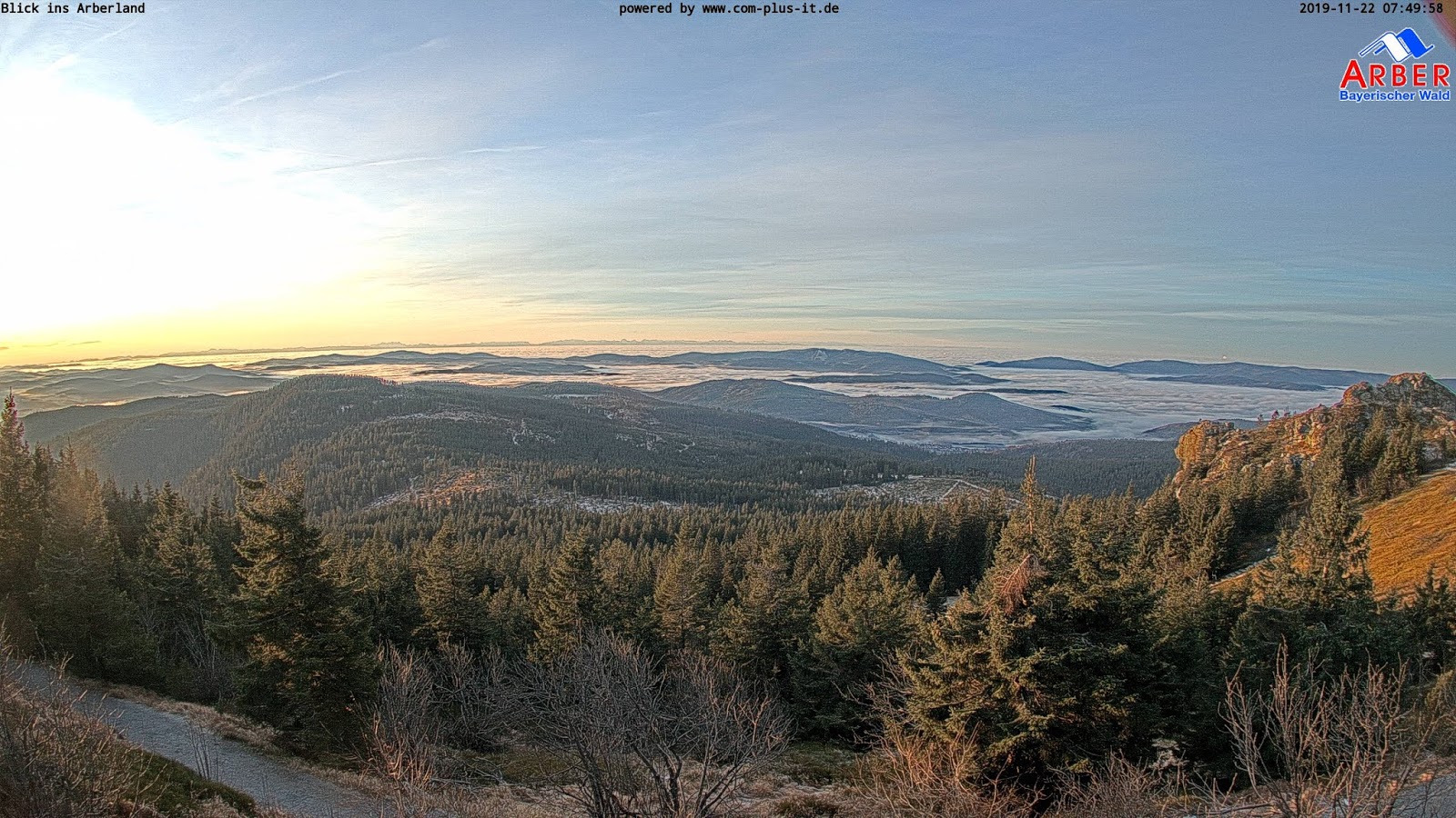The Bavarian Forest Vdudesv