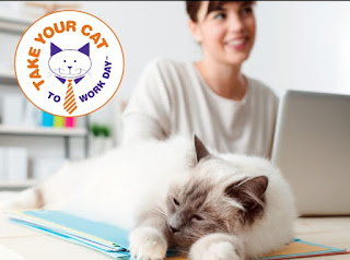 National Take Your Cat to Work Day HD Pictures, Wallpapers