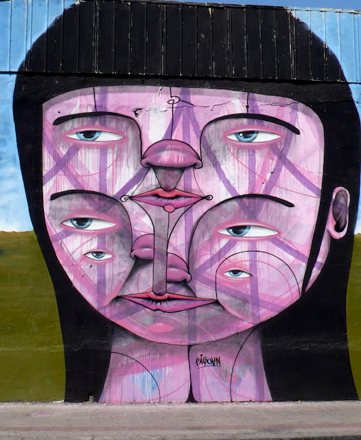 street art santiago de chile barrio brasil arte callejero piguan