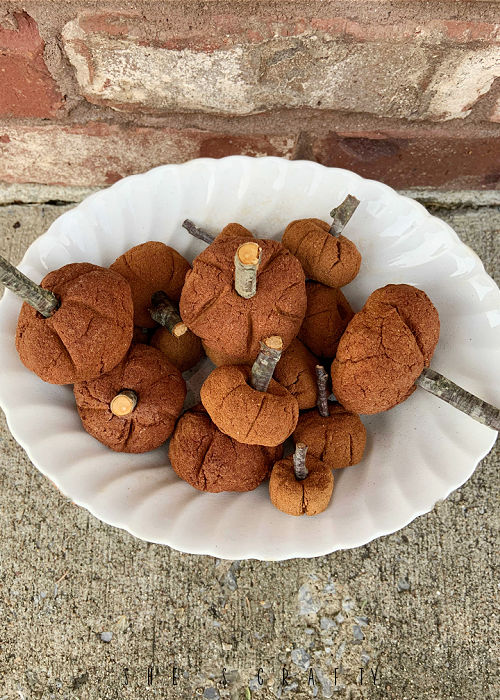 Cinnamon Pumpkins in an ironstone bowl for fall.