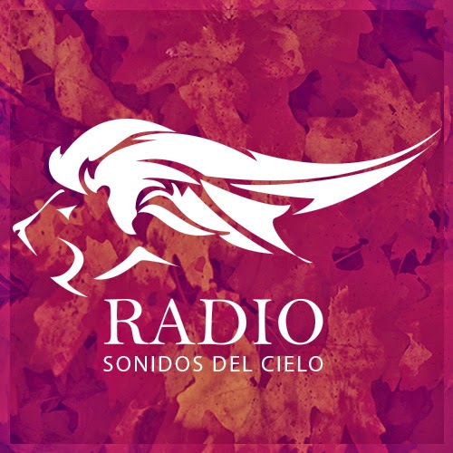 SDC Radio