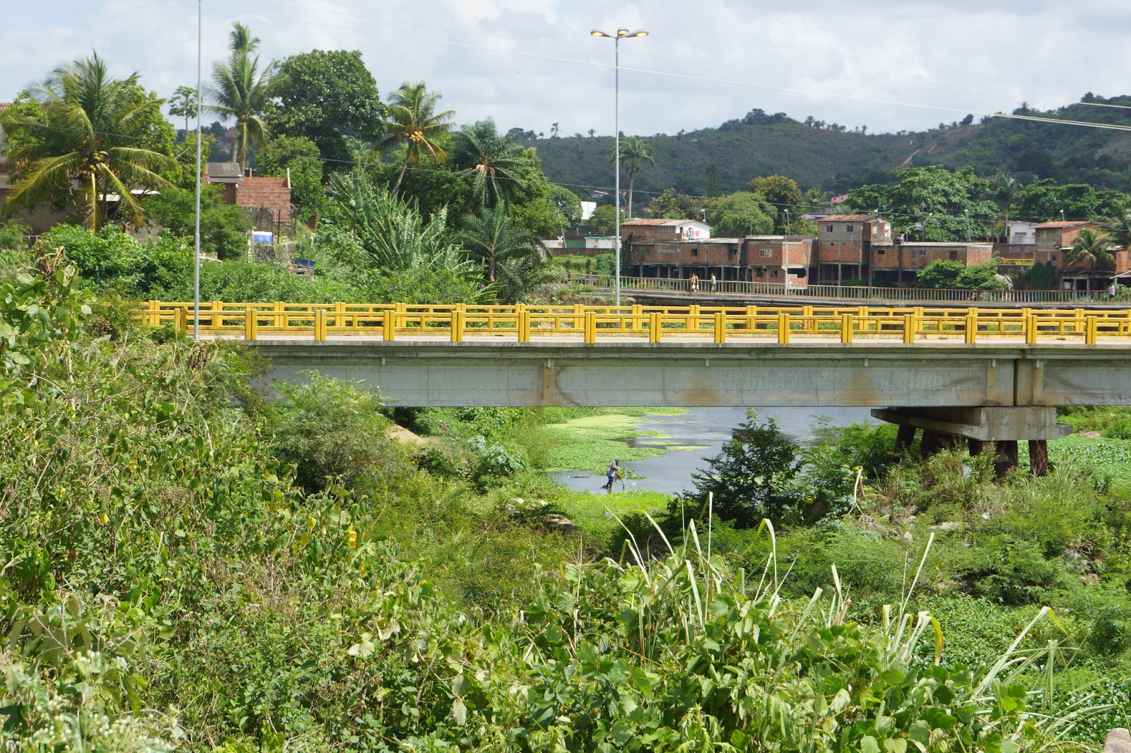 A Cidade e a História São
