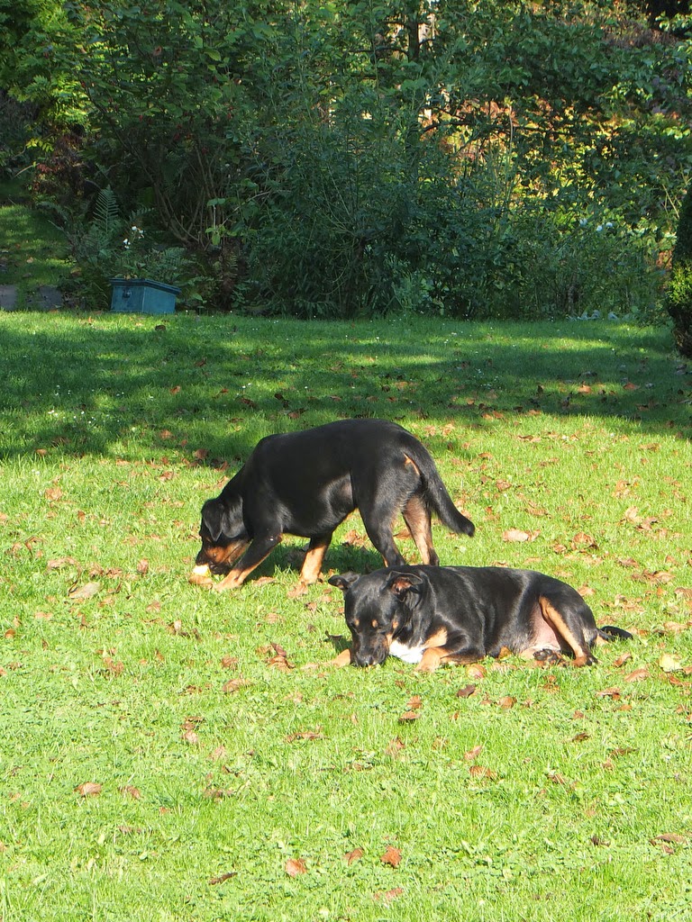 princessgreeneye PRINCESSGREENEYE in der LANDIDEE ein schöner