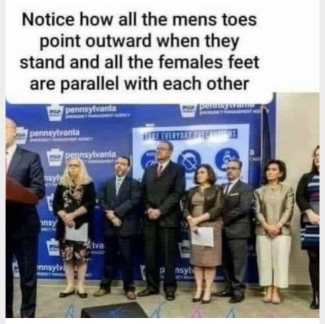 1%2B1%2B2f815739648c62d12b21ed9dfc_eda82