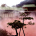 The Nine Hells of Beppu, Japan