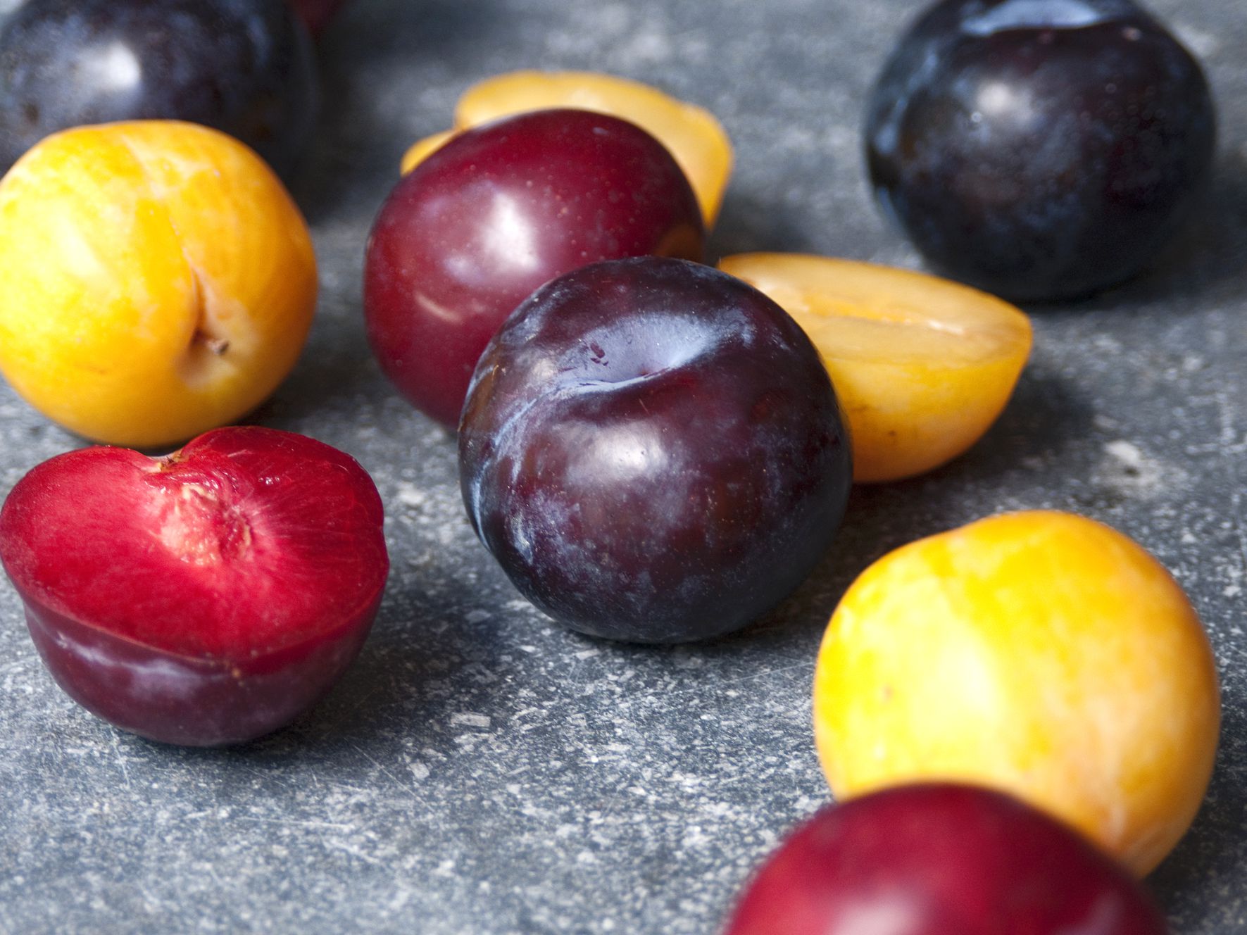 Budidaya Buah Plum di Indonesia Puri Budidaya