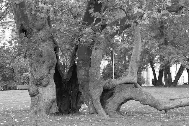 Mustavalkoisia muistoja Prahasta 2 Mustavalkoisia muistoja Prahasta 1