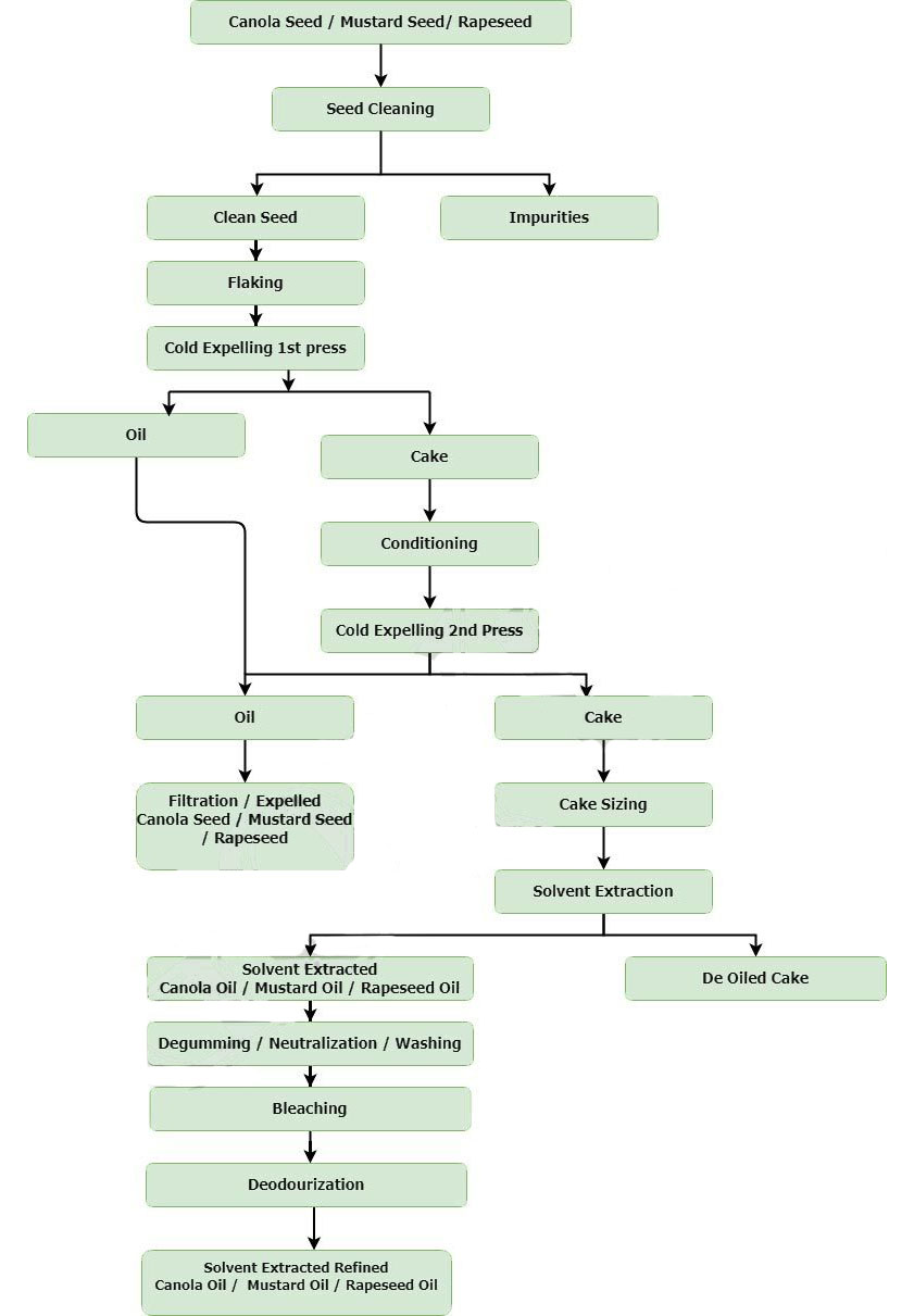 Edible Oil Extraction Process and Machinery Canola Oil Production