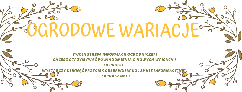 Ogrodowe wariacje 