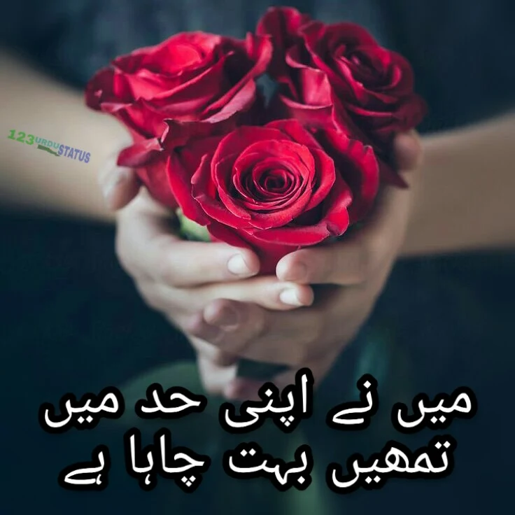 Love Status in Urdu