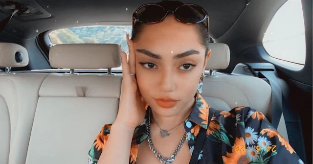 avani gregg net worth, avani gregg age, avani gregg middle name, avani gregg instagram, avani gregg makeup, what is avani gregg snapchat, avani gregg vlog,