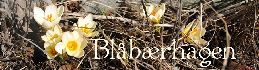 Blåbærhagen