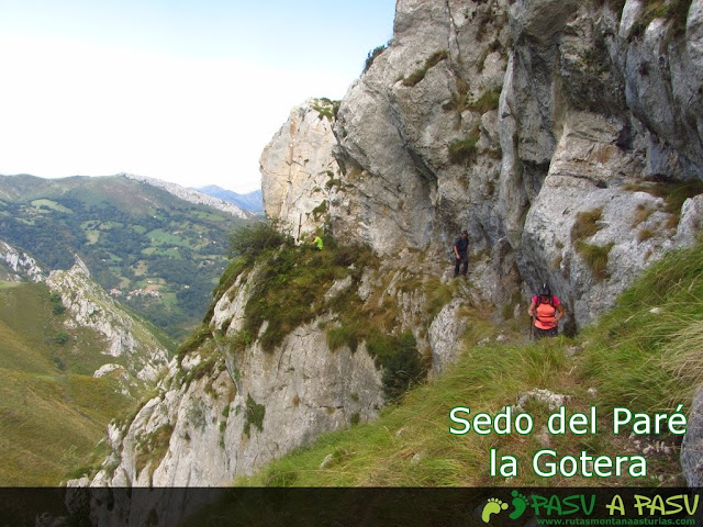 Sedo del Paré la Gotera