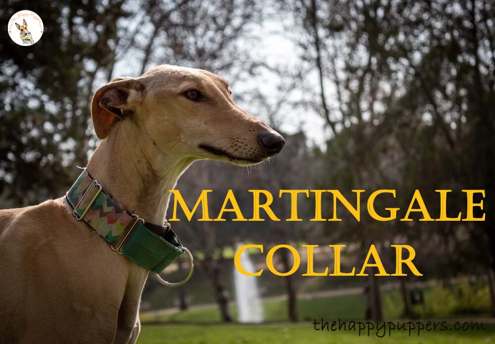 Martingale collars
