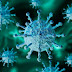 Encontrado anticorpo capaz de neutralizar o Coronavírus