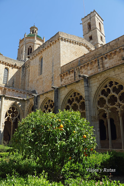 Claustro gótico del Monasterio de Santa María de Santes Creus