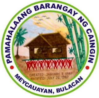 Barangay Caingin, Meycauayan City, Bulacan