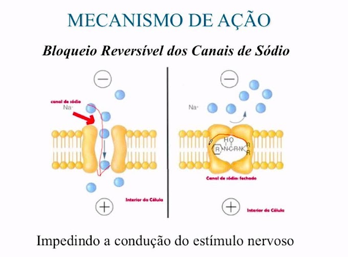 CURSO FARMACOLOGIA: Anestesicos locais - Mecanismo de ação - Sergio Araujo