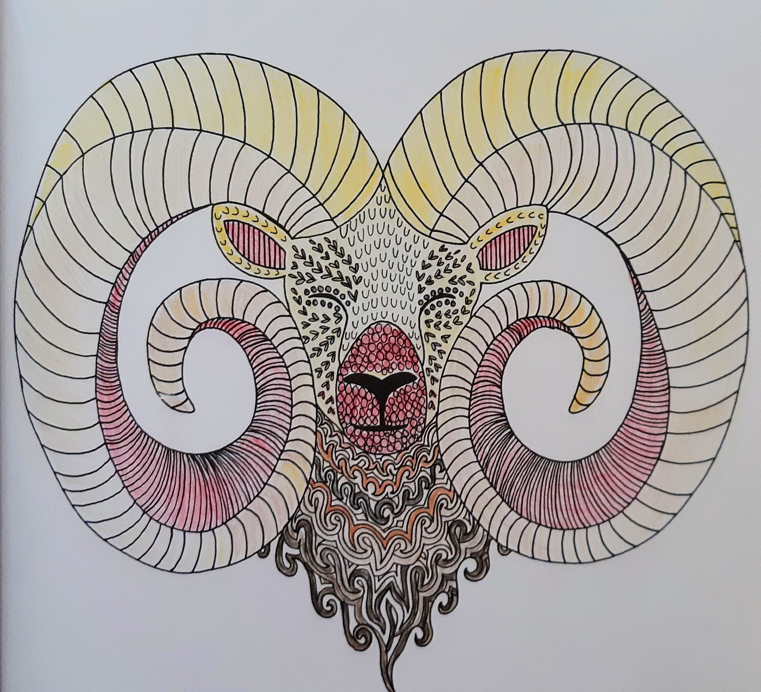 Desert Canyon Living: The Joy Of Coloring ~ Post No. 5