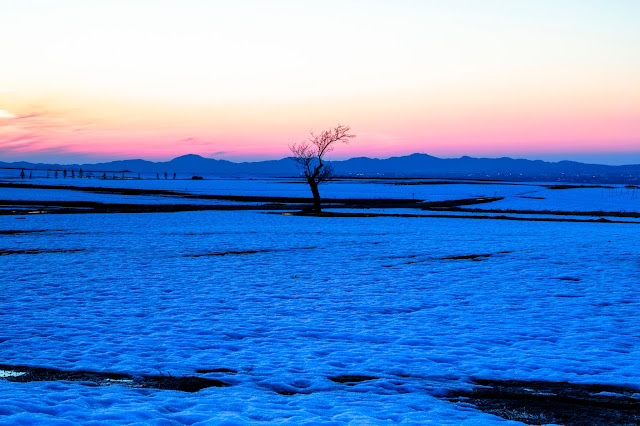 #photo #landscape #sigma #foveon #sdquattroh #japan #yamagata #tsuruoka #写真 #風景写真 #山形帝國 #山形県 #鶴岡市