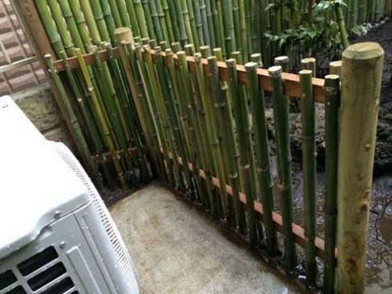 Contoh Pagar Bambu Keren Model Rumah Minimalis Model