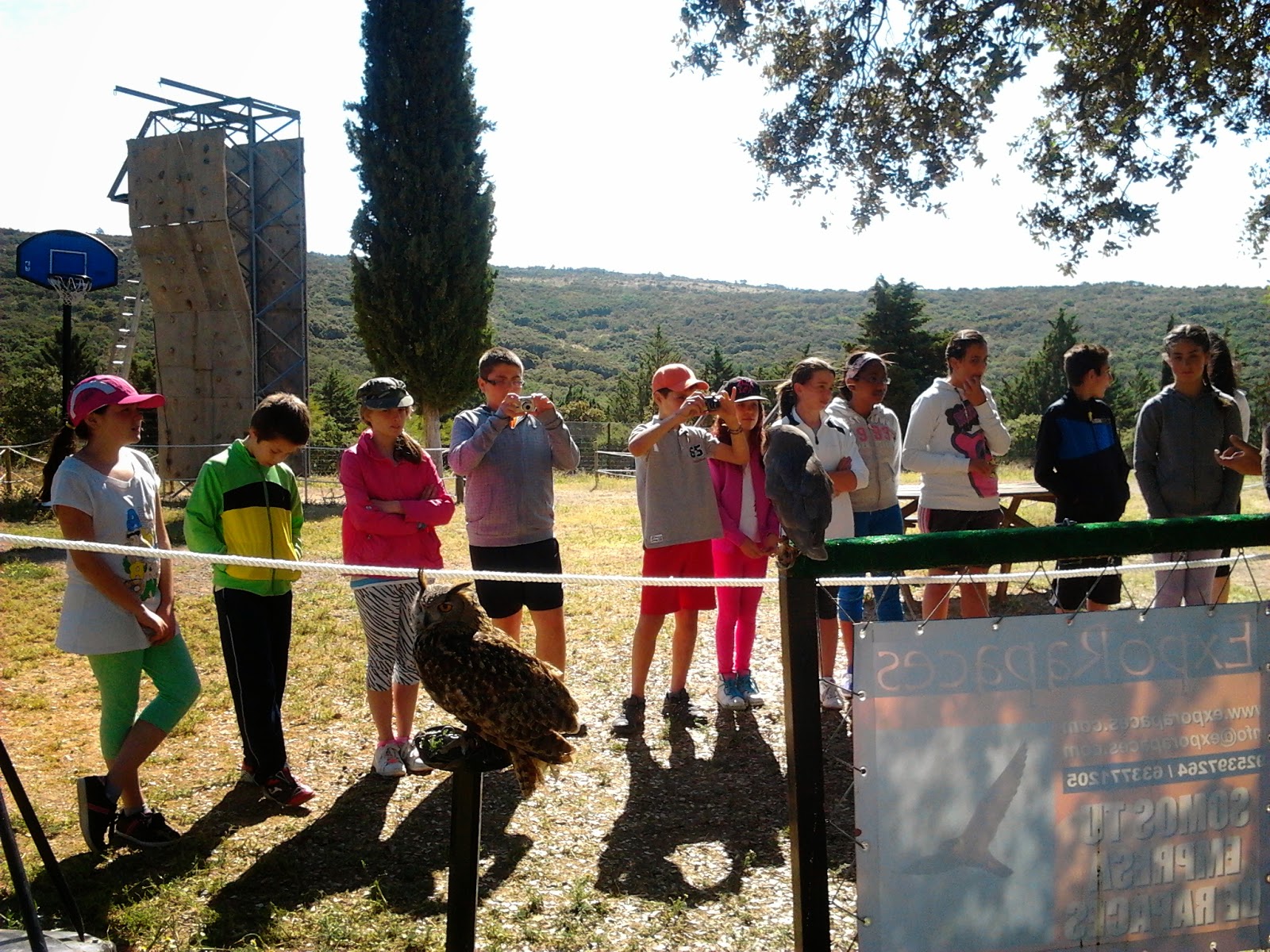 Agenzia delle Entrate - Circolare n 10/E del 14