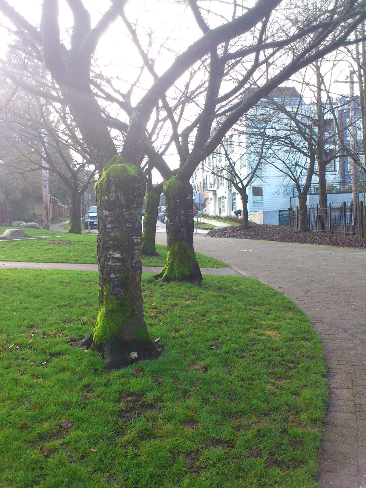 Vancouver Voyager John Foster McCreight