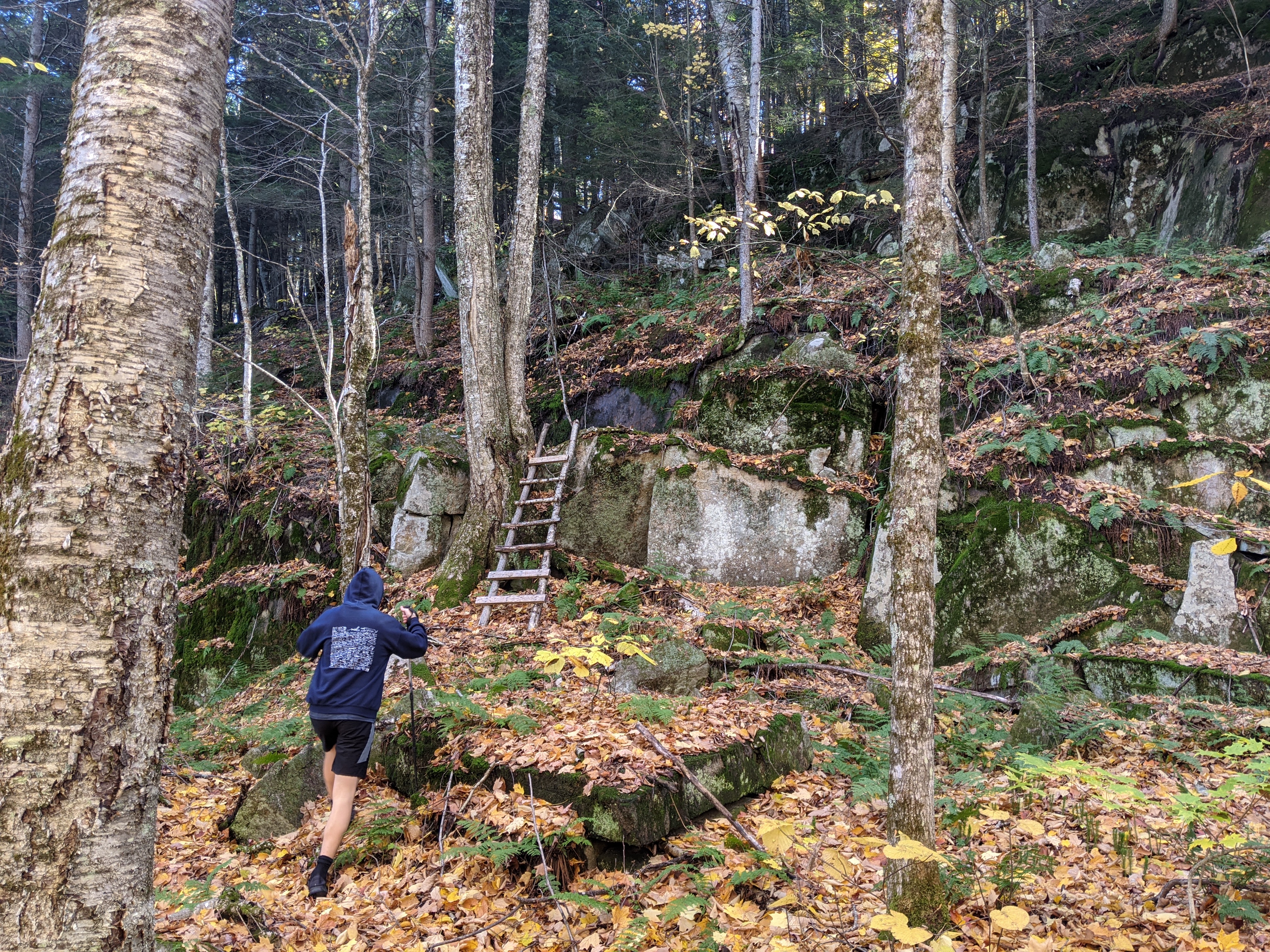 Im Wald Wird Sie Durch Geknallt Im Wald Wird Sie Durch Geknallt