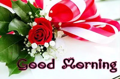 Good Morning Images Good Morning Images