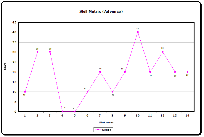 Skill Matrix - Advance Work-areas