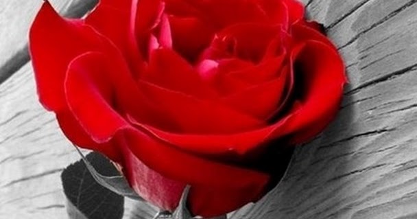 pintrest wallpaper اجمل خلفيات بينترست للموبايل