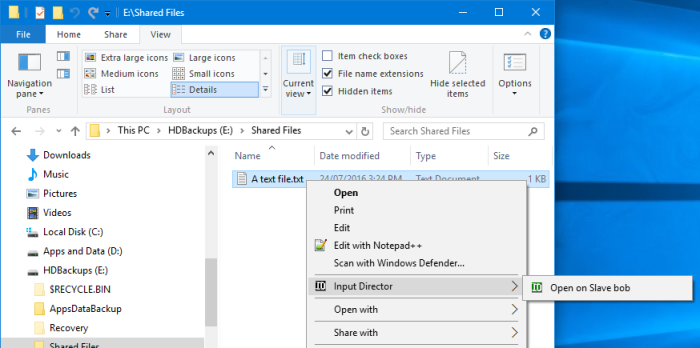 Comment utiliser Input Director sur Windows 10