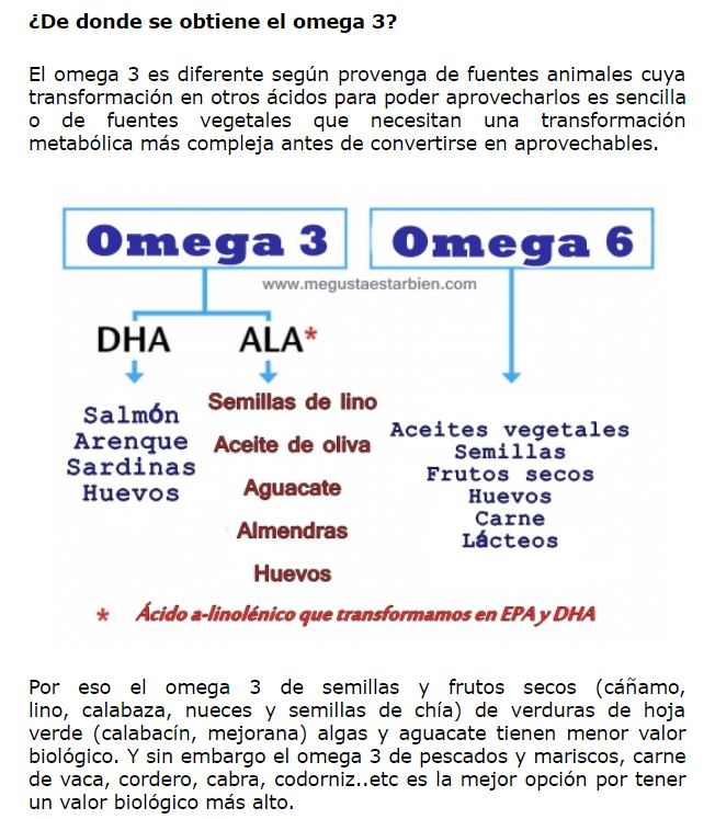 joderconleonidas OMEGA 3 vs OMEGA 6