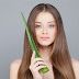 Rambut Sehat Alami Hanya Dengan Lidah Buaya dan Madu Rambut Sehat Alami Hanya Dengan Lidah Buaya dan Madu