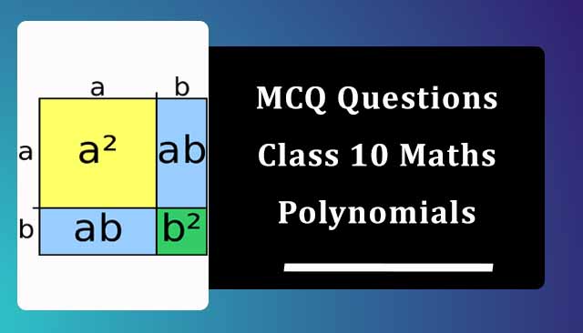 MCQ Questions for Class 10 Maths Chapter 2 Polynomials with Answers MCQ Questions for Class 10 Maths Chapter 2 Polynomials with Answers
