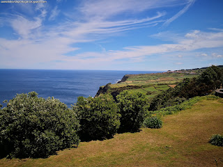 PORTUGAL / Biscoitos, Ilha Terceira, Açores, Portugal