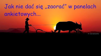 Zarabianie online (jak nie dać się „zaorać”).